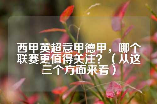 在2024